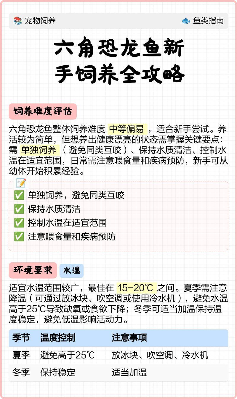 如何預(yù)防六角恐龍中暑，六角恐龍飼養(yǎng)技術(shù)