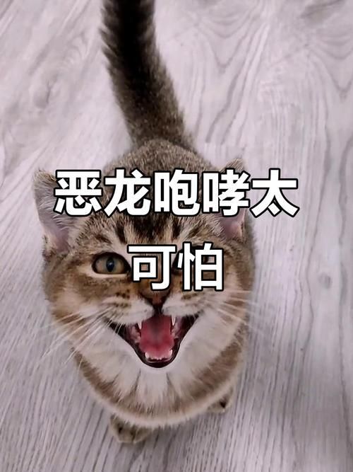 惡龍肚子變大撐爆，奇幻作品中“惡龍肚子變大撐爆”結局暗示了過度擴張終將自毀