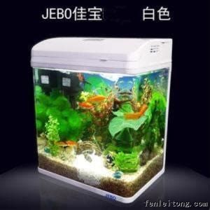 魚缸，魚缸搭建與維護