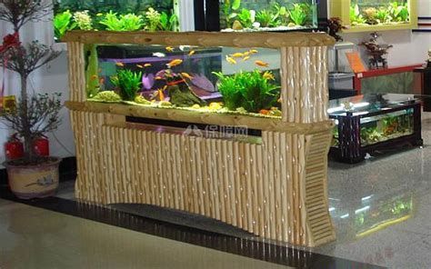 魚缸，魚缸搭建與維護