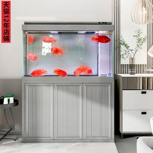 推薦幾款龍魚(yú)缸過(guò)濾系統(tǒng)品牌，龍魚(yú)缸過(guò)濾系統(tǒng)