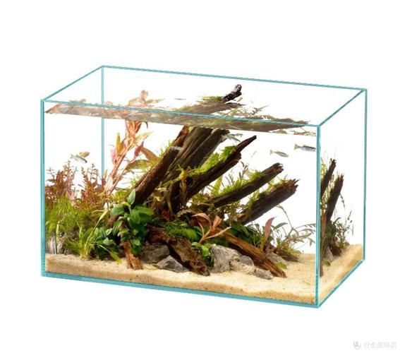 給我推薦幾款性價比高的金魚缸，幾款性價比高的金魚缸推薦