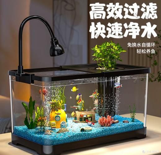 給我推薦幾款性價比高的金魚缸，幾款性價比高的金魚缸推薦