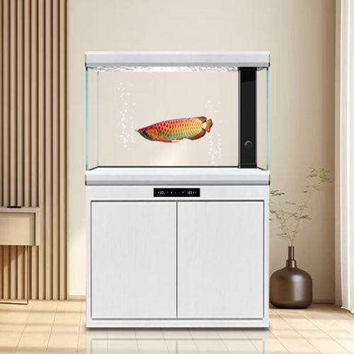 給我推薦幾款性價比高的金魚缸，幾款性價比高的金魚缸推薦