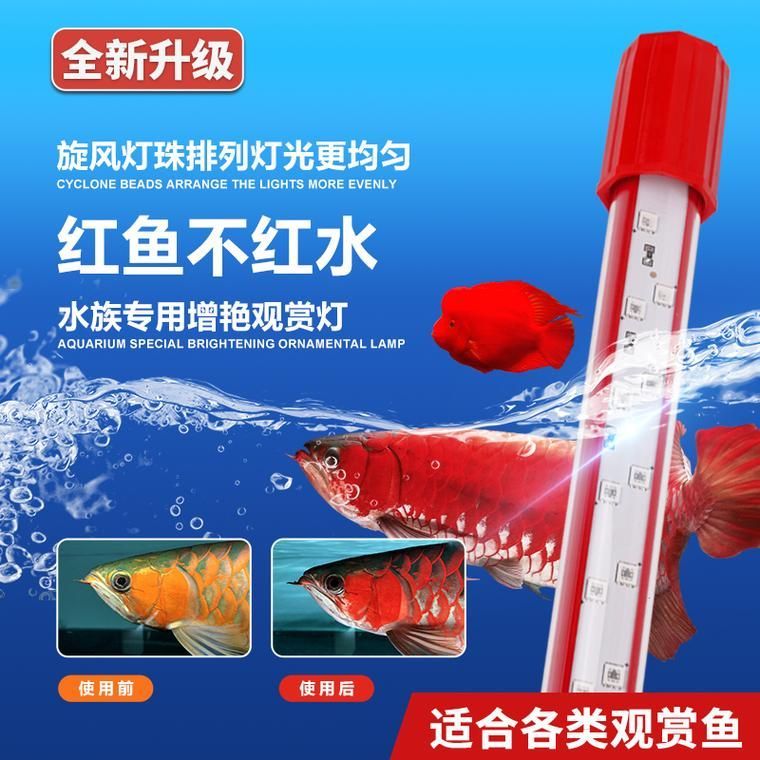 2700K燈對紅龍的影響，2700k燈光對紅龍的影響