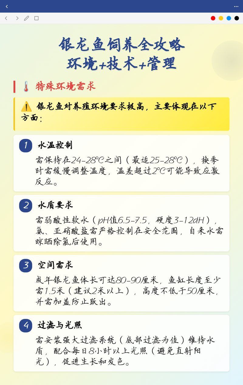 給我推薦一些銀龍魚的飼養(yǎng)技巧，銀龍魚的飼養(yǎng)技巧