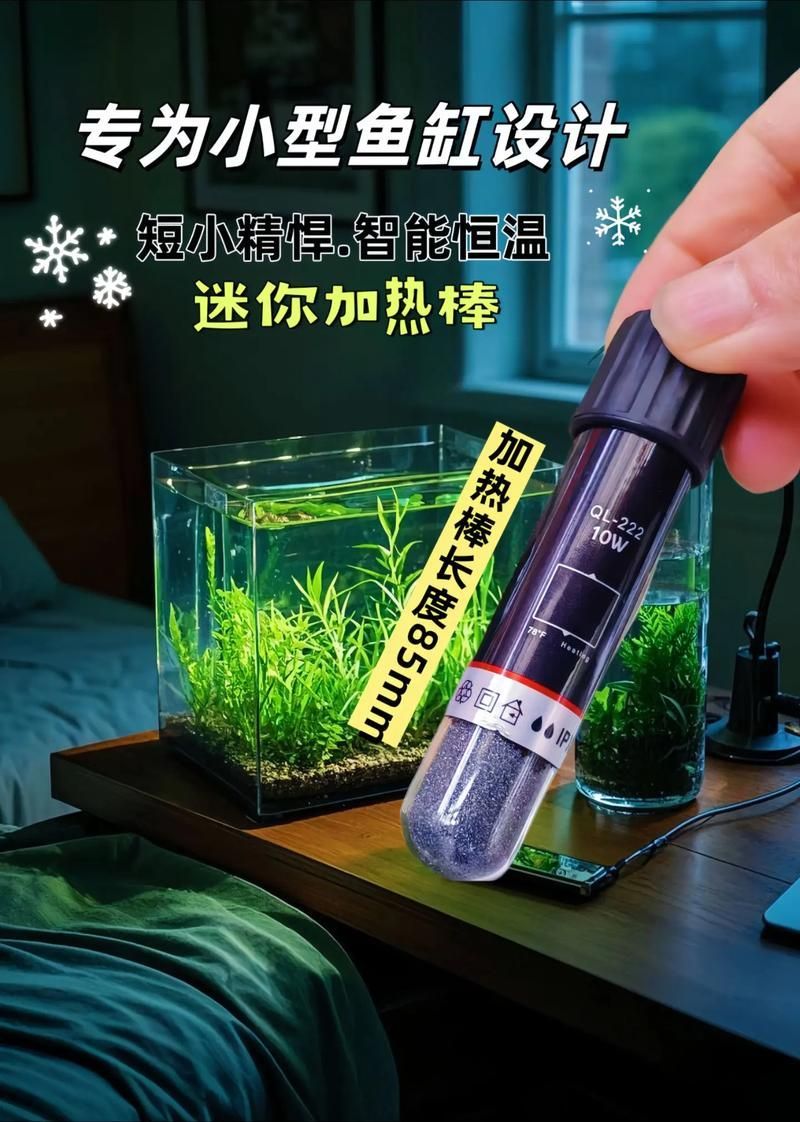 如何穩(wěn)定白條過(guò)背金龍魚(yú)的水溫，白條過(guò)背金龍魚(yú)水溫穩(wěn)定全攻略