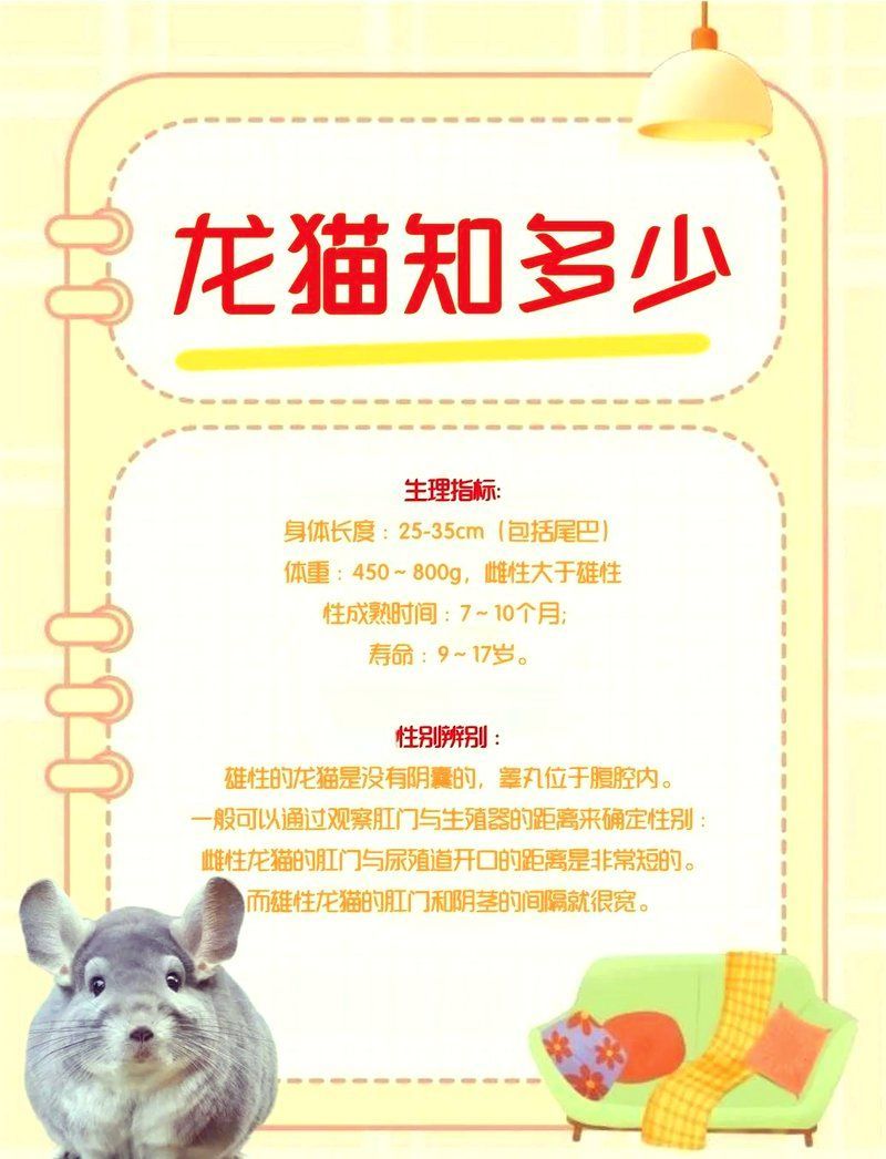 給我一些關(guān)于龍貓的趣事，關(guān)于龍貓的趣事