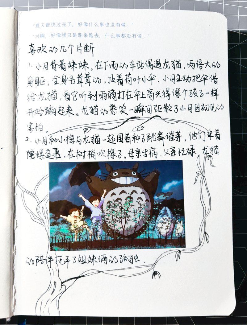 給我一些關(guān)于龍貓的趣事，關(guān)于龍貓的趣事