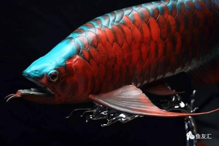 能否提供鎮遠龍魚的圖片，貴州鎮遠古鎮文化符號導覽清單鎮遠古鎮文化符號導覽清單