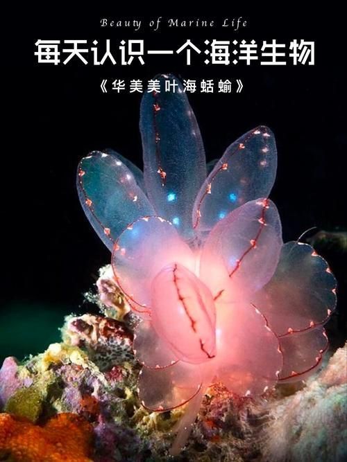 請(qǐng)?zhí)峁└嚓P(guān)于魚類真菌的信息，arxiv論文助手可獲取2023-2026年關(guān)于魚類真菌的最新論文