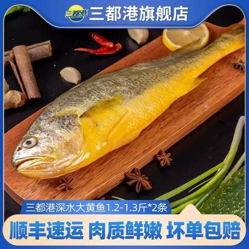三都龍魚(yú)的市場(chǎng)價(jià)格走勢(shì)，三都港‘黃金龍’有機(jī)大黃魚(yú)市場(chǎng)價(jià)格走勢(shì)詳解