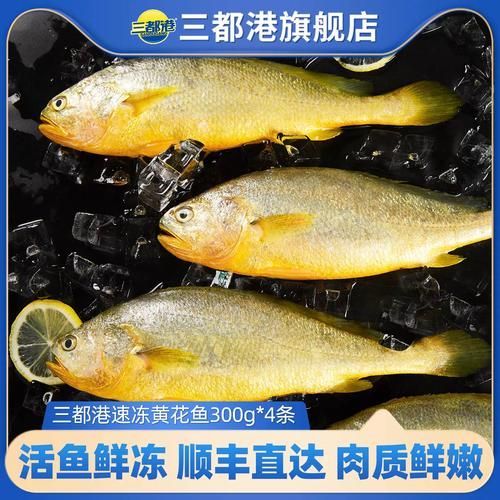 三都龍魚(yú)的市場(chǎng)價(jià)格走勢(shì)，三都港‘黃金龍’有機(jī)大黃魚(yú)市場(chǎng)價(jià)格走勢(shì)詳解