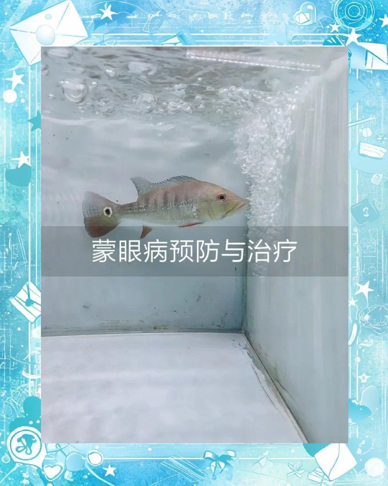 細菌感染引起的蒙眼如何治療，眼是細菌感染引起的“蒙眼”治療方法與治療方法