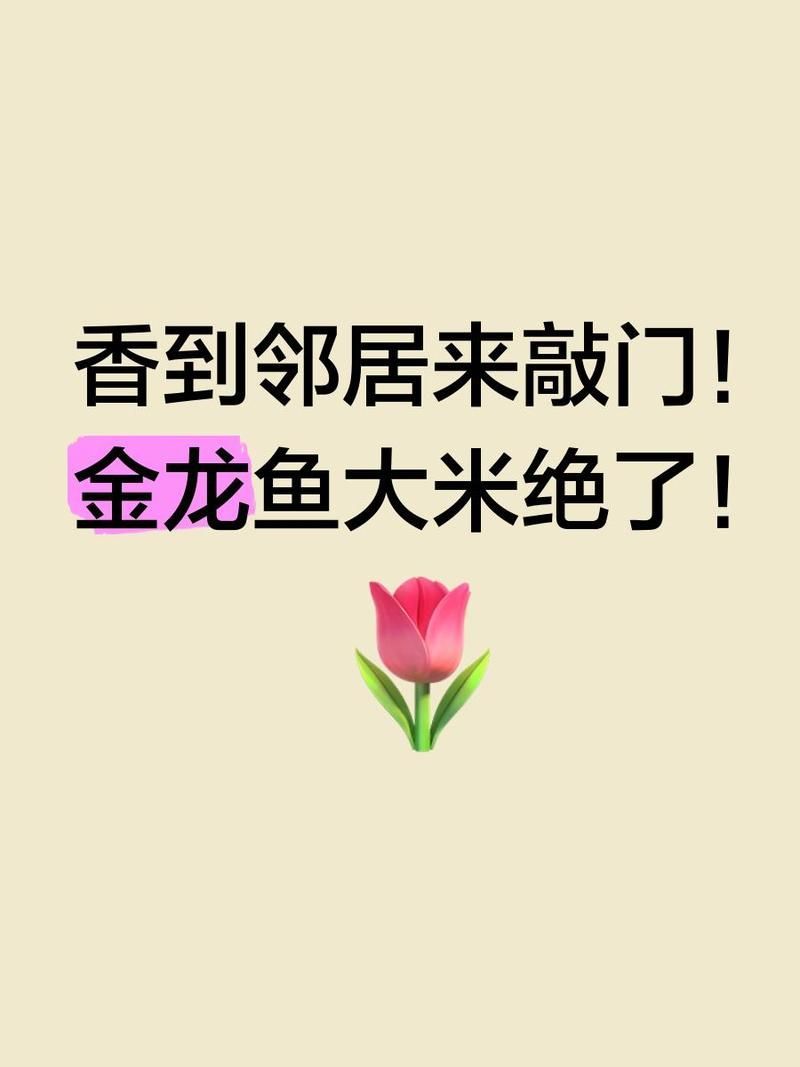 金龍魚方正長粒香米有哪些口感特點(diǎn)，金龍魚方正長粒香米有哪些優(yōu)勢(shì)？