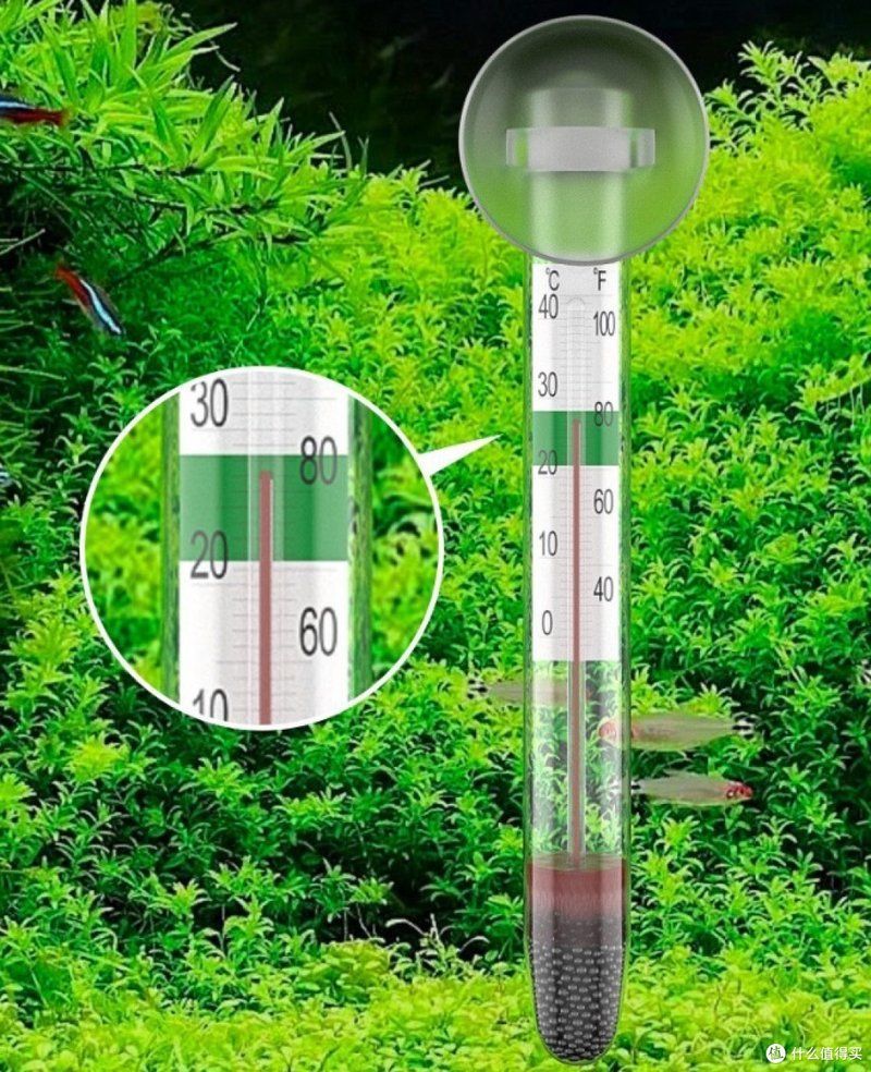 如何判斷魚缸水溫過高，魚缸水溫過高會威脅魚類健康，嚴重時可導致缺氧、代謝紊亂甚至批量死亡