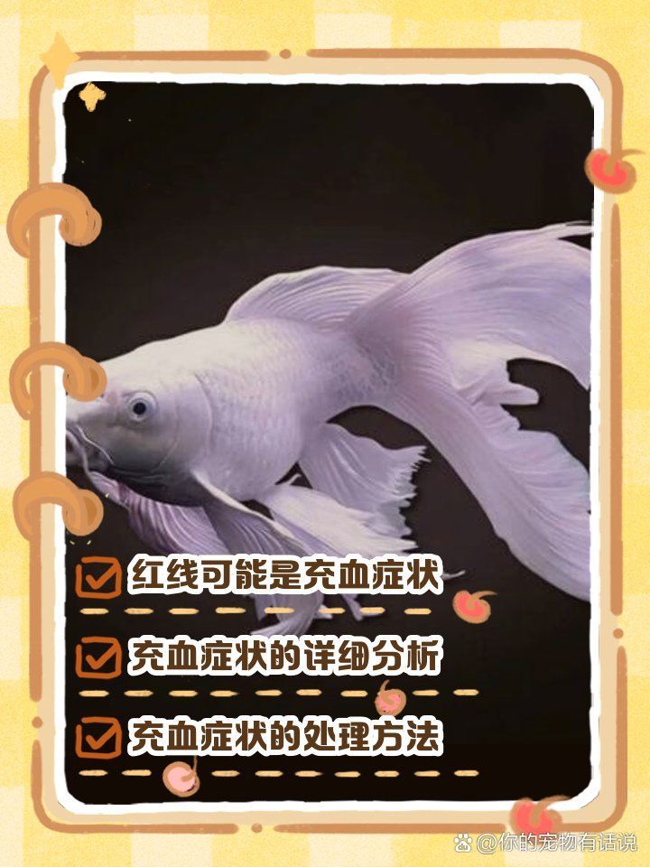 蝴蝶鯉魚鱗充血怎么辦