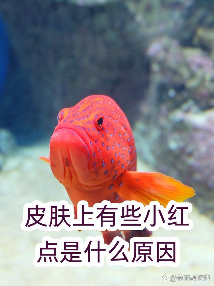 生理性紅點(diǎn)會(huì)自行消失嗎，性紅點(diǎn)會(huì)自行消失嗎？