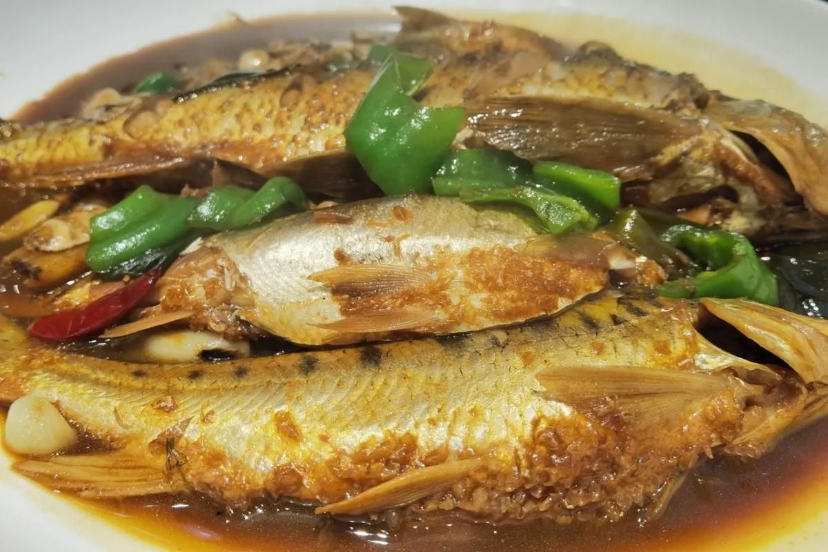 能否提供江龍魚的圖片，關于江龍魚的一些問題