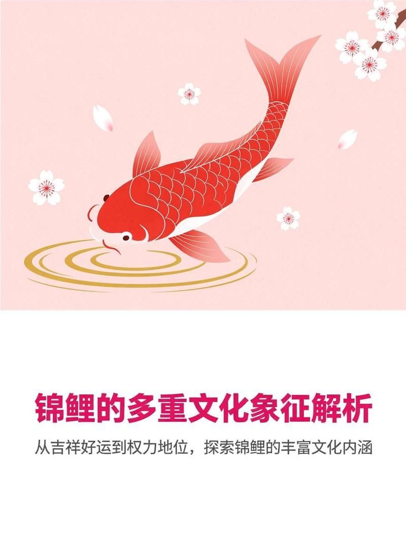 錦鯉和龍魚哪個(gè)更有價(jià)值？，錦鯉與龍魚哪個(gè)更有收藏價(jià)值？