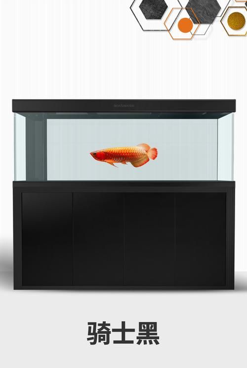 博特水族龍魚缸的價格范圍是多少，博特水族龍魚缸價格對比表，博特水族龍魚缸價格對比