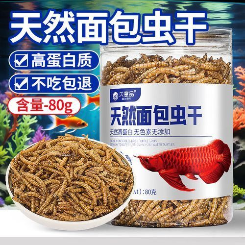 能給出更多安全處理龍魚干面包蟲的步驟嗎，安全處理龍魚干面包蟲