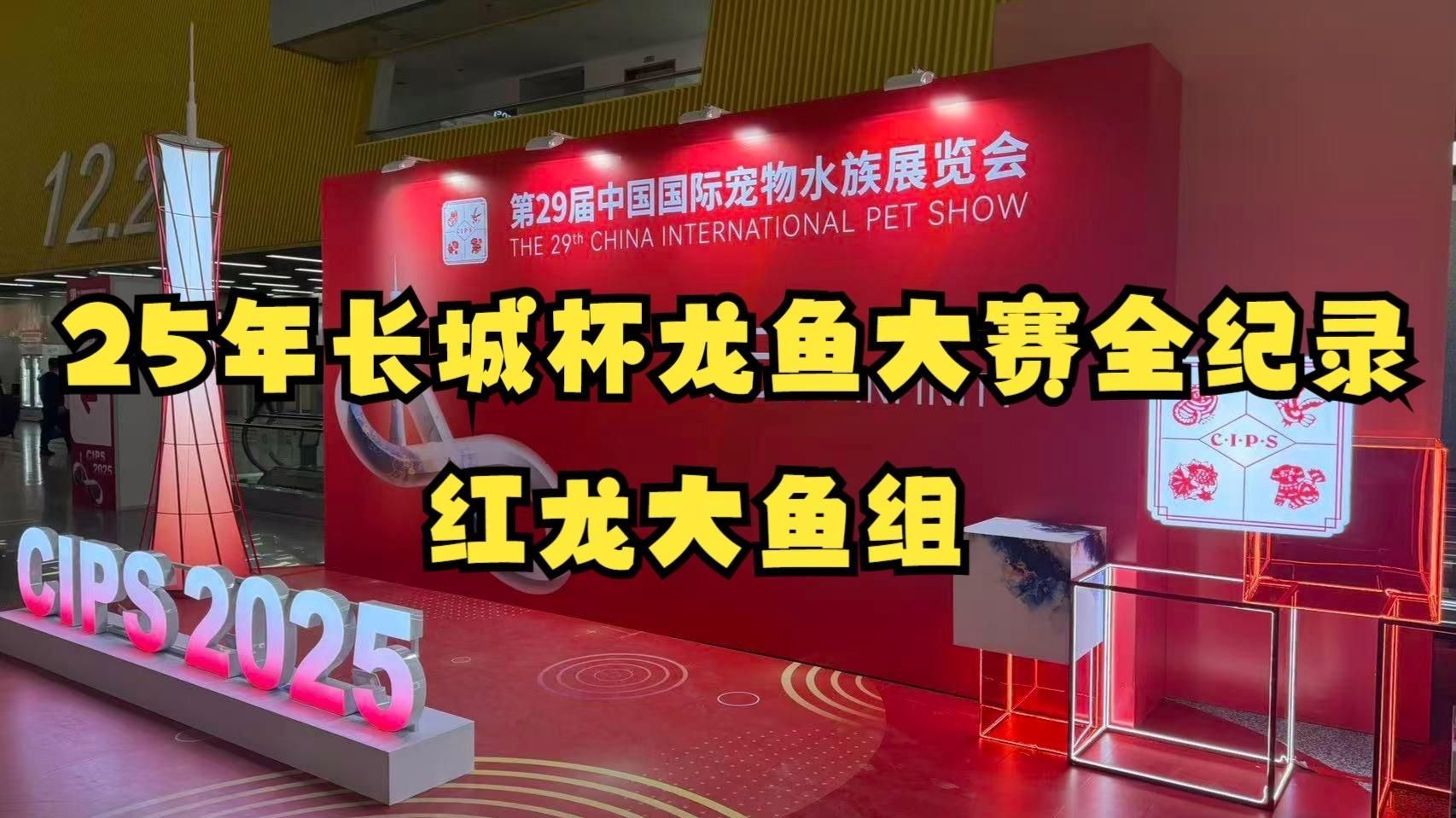 如何判斷一條紅龍魚是否達(dá)到賽級標(biāo)準(zhǔn)，判斷一條紅龍魚是否達(dá)到賽級標(biāo)準(zhǔn)，如何判斷是否達(dá)到賽級標(biāo)準(zhǔn)