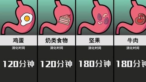 生牛肉喂食后多久會消化完，如何判斷生牛肉是否消化完全？