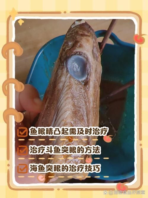 魚(yú)突眼最簡(jiǎn)單處理方法，魚(yú)突眼最簡(jiǎn)單處理方法詳解魚(yú)突眼最簡(jiǎn)單處理方法詳解
