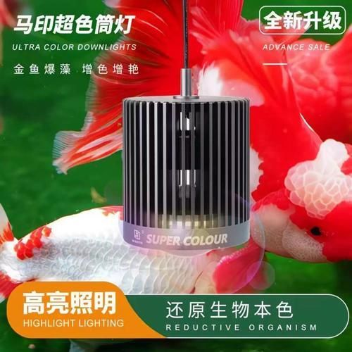 有哪些品牌的魚缸燈推薦，魚缸燈品牌推薦：魚缸燈品牌及其推薦產(chǎn)品及其推薦