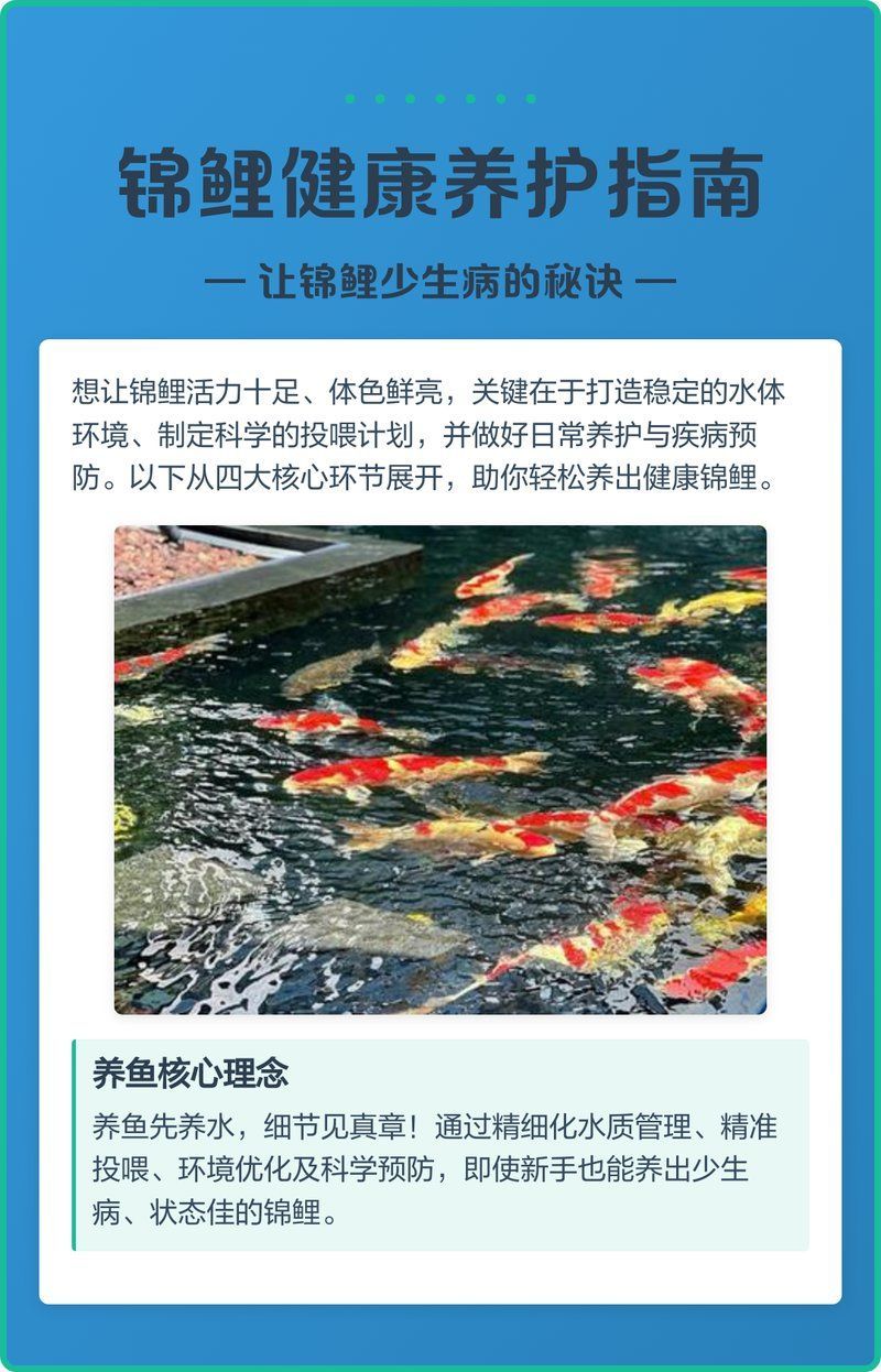 如何預防錦鯉疾病，如何科學預防錦鯉疾病 如何預防錦鯉疾病，如何科學預防錦鯉疾病 龍魚百科 第3張