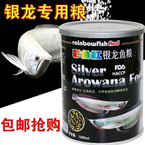 銀龍魚的最佳餌料有哪些？，銀龍魚發(fā)色期需要哪些特殊餌料適合銀龍魚的餌料