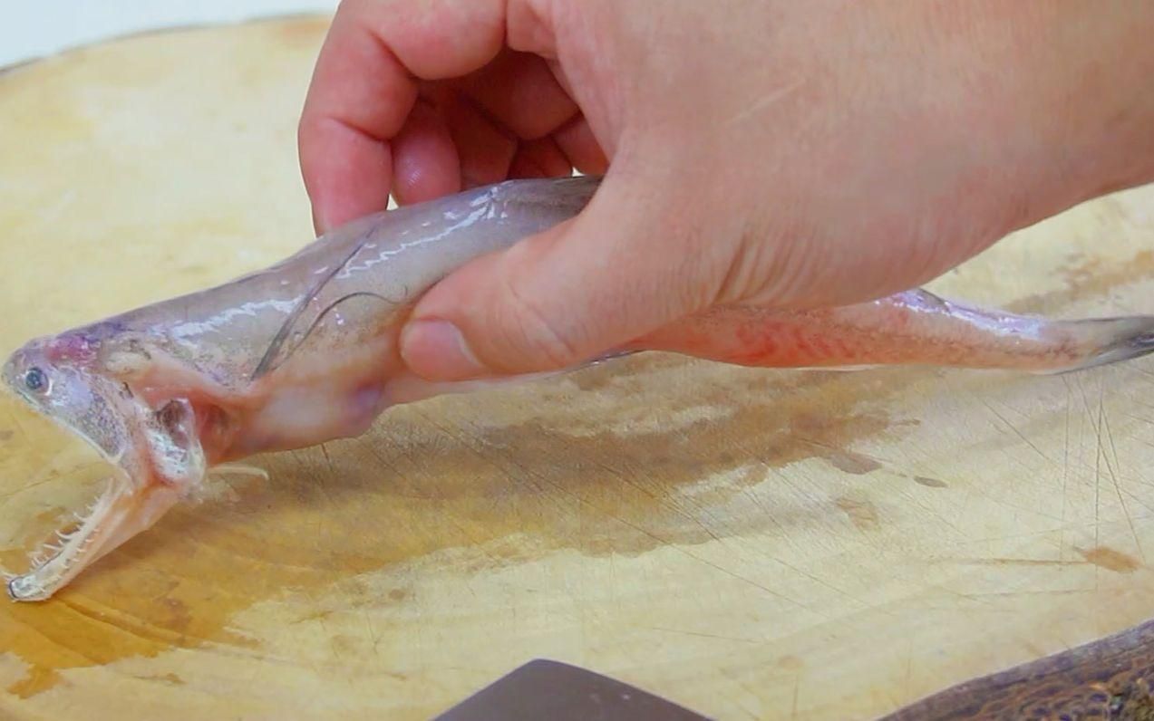 鶴山龍魚有哪些常見的烹飪方法？，鶴山龍魚家常菜譜清單