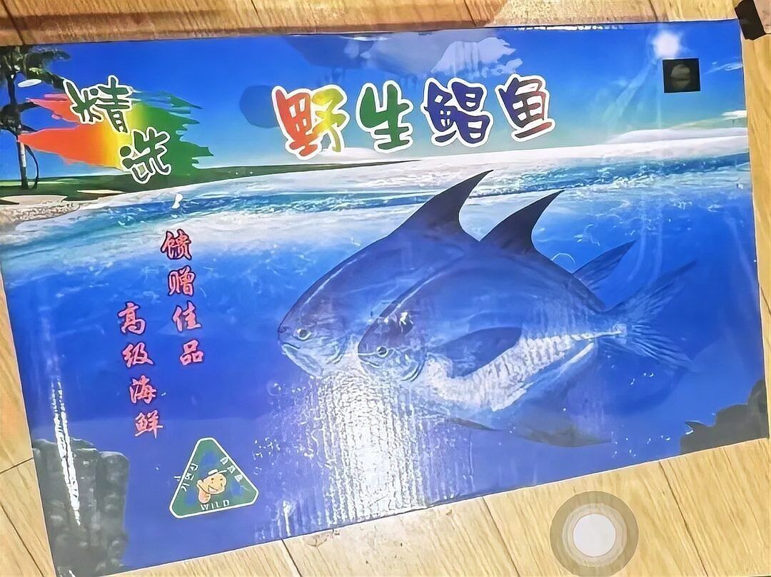 如何鑒別真假雪龍魚，如何鑒別雪龍魚