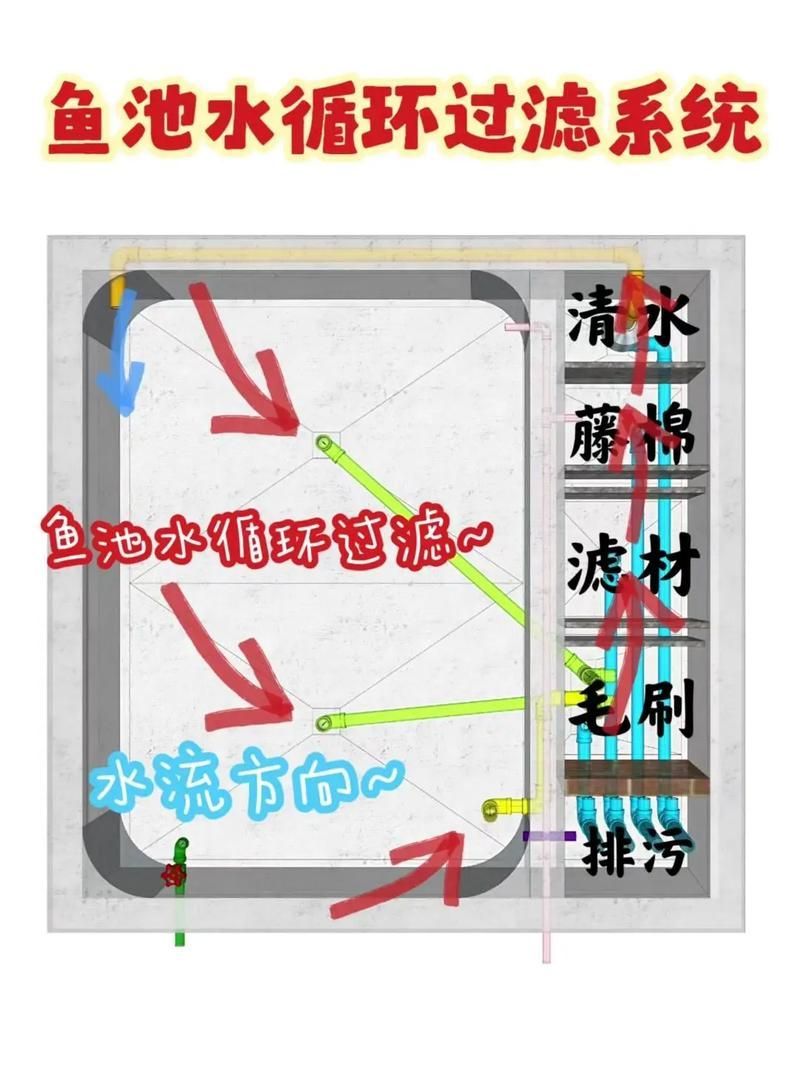 龍魚換水時如何減少應激？，北京龍魚換水技術