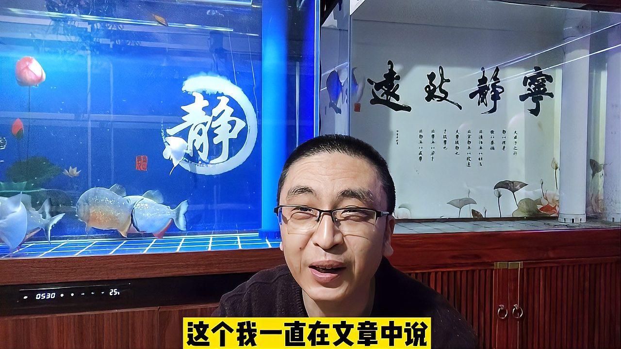 一米二魚缸適合養多少條魚，一米二魚缸適合養什么魚？