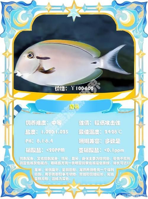 如何辨別福魟魟魚的品質，potamotrygonmotorogonmotorogonmotoro