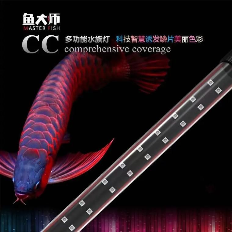 如何判斷魚大師龍魚燈的真偽，判斷魚大師龍魚燈真偽的方法包括：檢查包裝盒是否完整無損