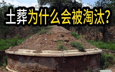 龍魚土葬需要什么材料?,龍魚土葬詳解,材料清單與操作指南 龍魚百科 第1張 龍魚土葬需要什么材料?,龍魚土葬詳解,材料清單與操作指南 龍魚土葬需要什么材料?,龍魚土葬詳解,材料清單與操作指南 龍魚百科 第1張