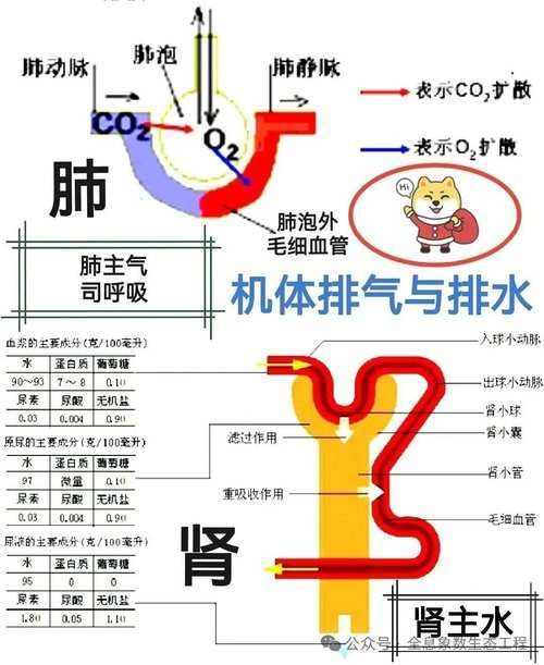 如何判斷魚類是否患失鰾癥，如何判斷魚類失鰾癥