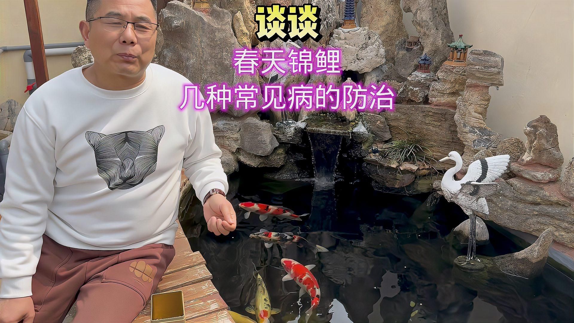 有哪些魚缸常見病無法治愈，幾種常見病如何防治