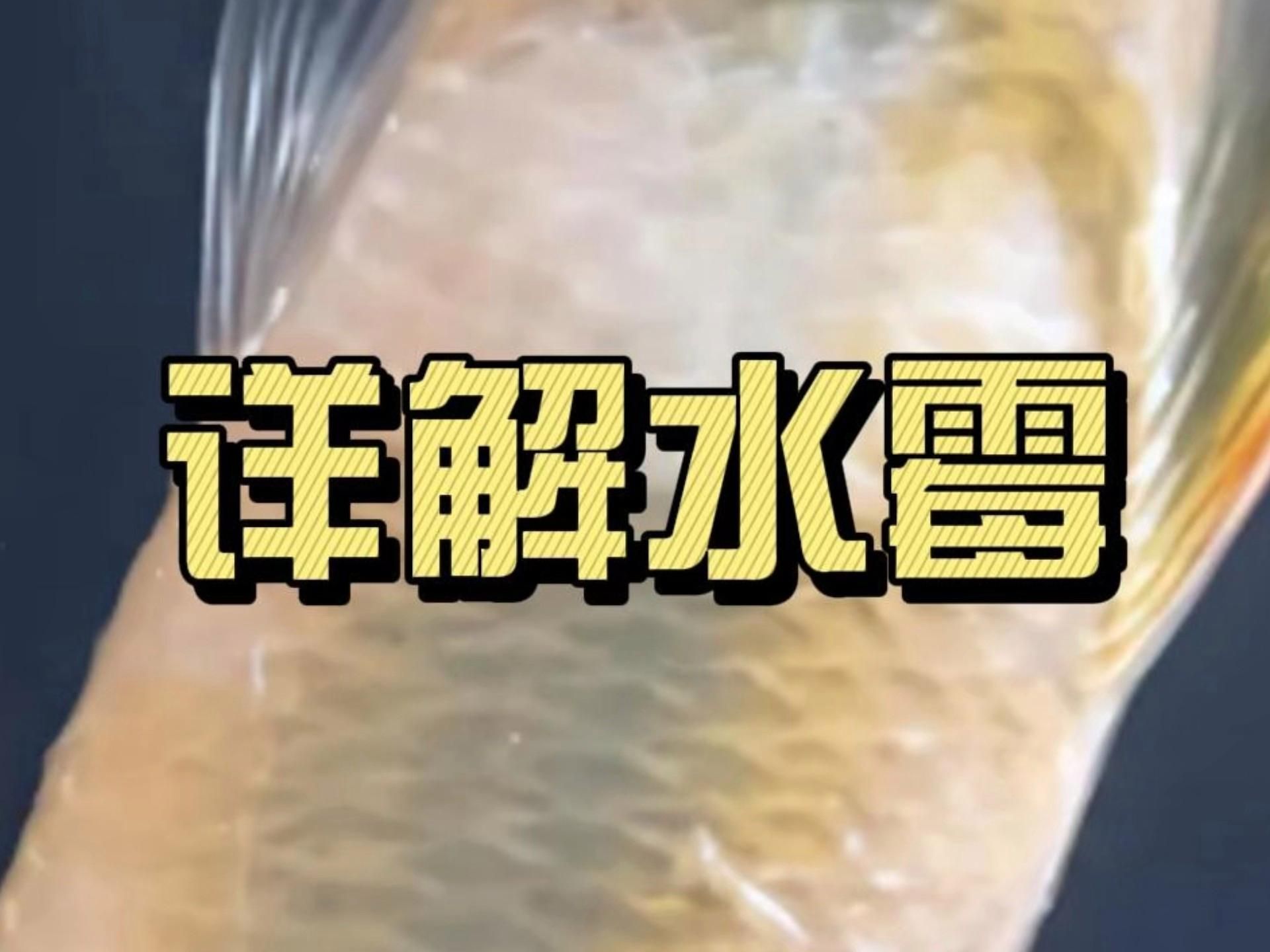 有哪些魚缸常見病無法治愈，幾種常見病如何防治