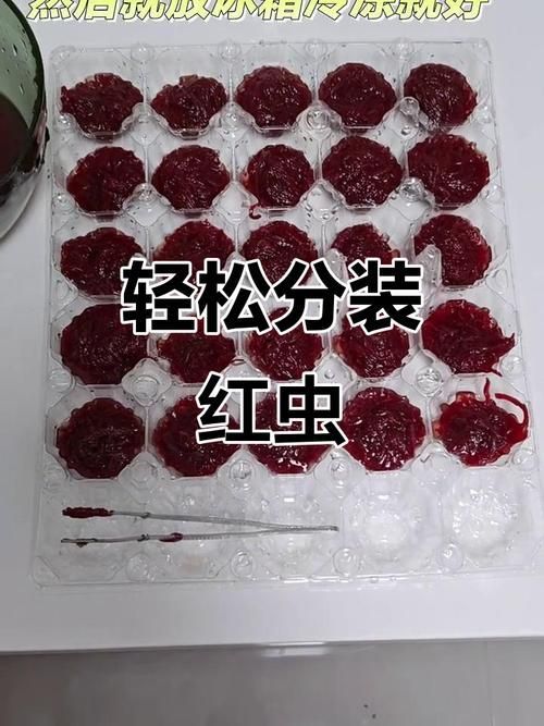 如何科學投喂面包蟲和紅蟲，科學投喂面包蟲和紅蟲的科學投喂面包蟲和紅蟲的科學投喂方法