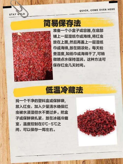 如何科學投喂面包蟲和紅蟲，科學投喂面包蟲和紅蟲的科學投喂面包蟲和紅蟲的科學投喂方法