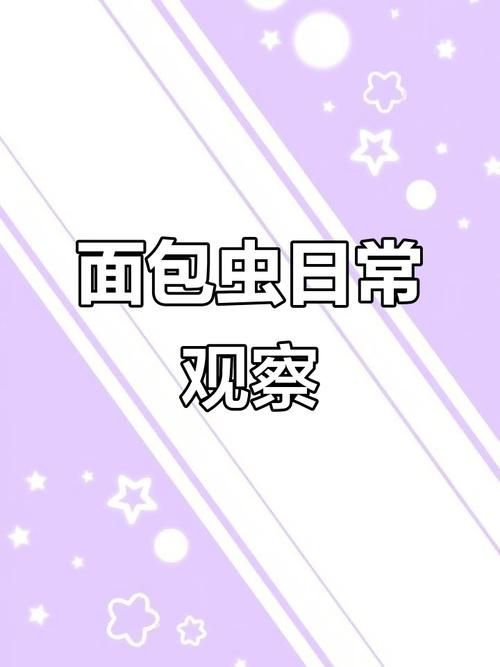如何科學投喂面包蟲和紅蟲，科學投喂面包蟲和紅蟲的科學投喂面包蟲和紅蟲的科學投喂方法