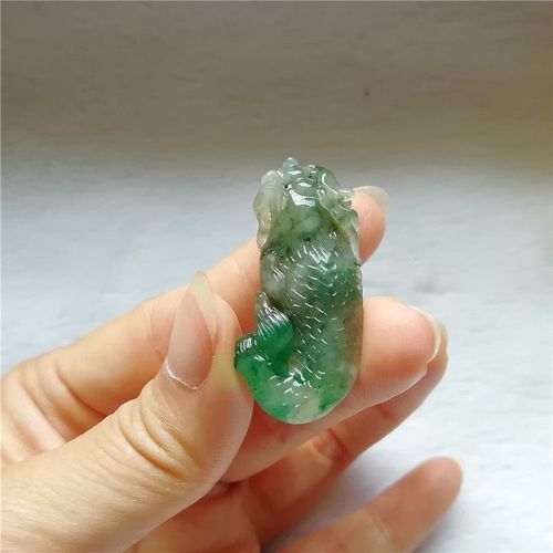 如何鑒別獨山龍魚的品相和血統，如何鑒別一份獨山龍魚的品相和血統？