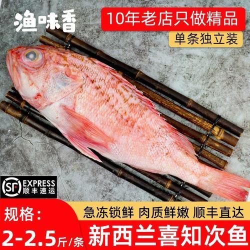 紅龍魚有哪些營養(yǎng)價值，紅龍魚有哪些營養(yǎng)價值？