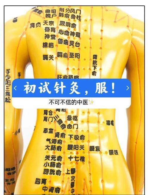 有哪些輔助治療方法可以配合使用藥物，醫(yī)學輔助治療方法