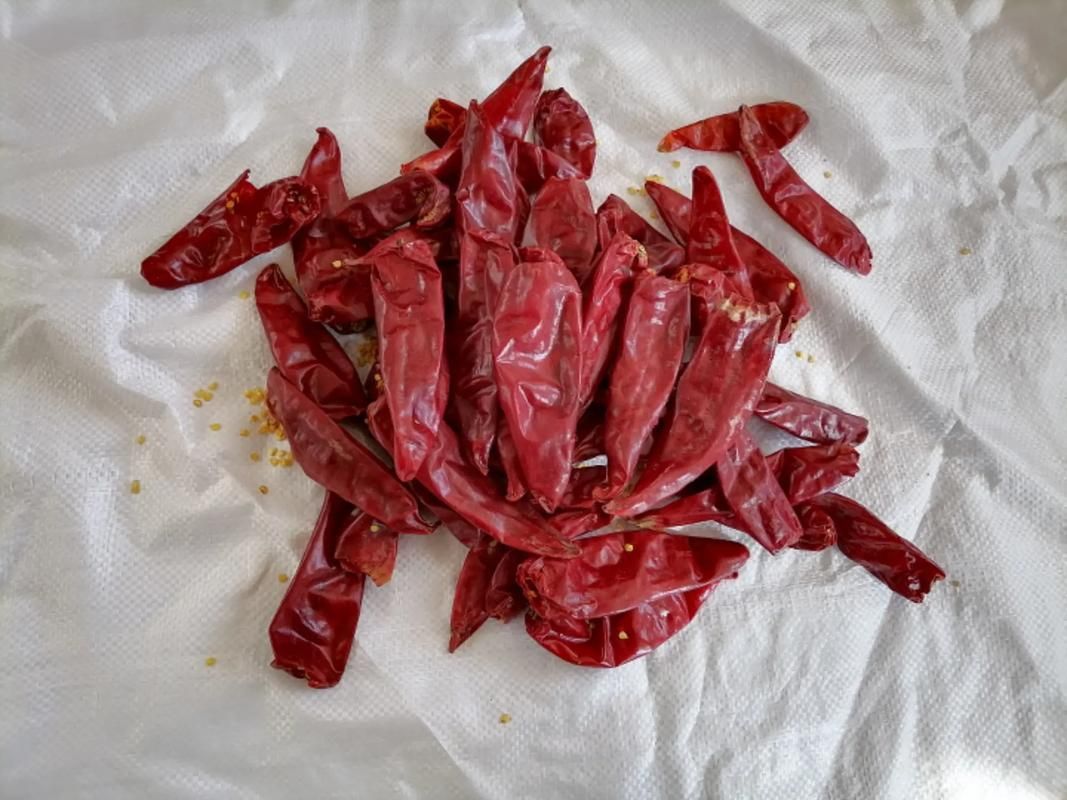 紅龍辣椒的烹飪方法，紅龍辣椒標準化烹飪流程