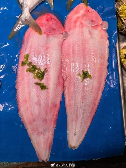 龍利魚和龍魚哪個更稀有，龍利魚與龍利魚的稀有性對比詳解龍利魚和龍魚哪個更稀有